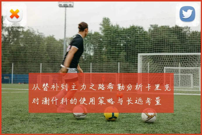 从替补到主力之路希勒分析卡里克对谢什科的使用策略与长远考量