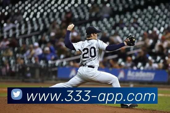 333体育:引领数字化竞技内容传播与交互的新标准发展历程