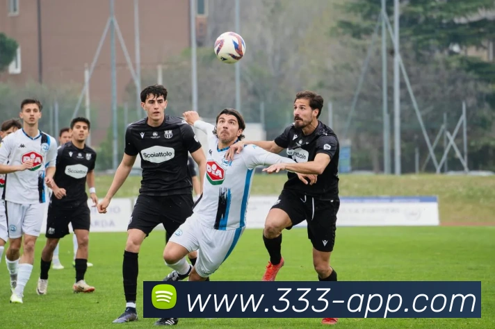 333体育：引领数字化竞技内容传播与交互的新标准服务体系